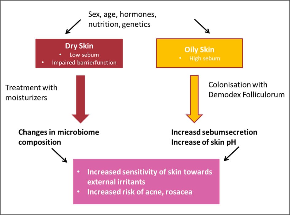 formation-pathway IAC - International Association for Applied Corneotherapy formation pathway